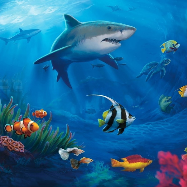 Artwork for Datos Curiosos. Vida Marina