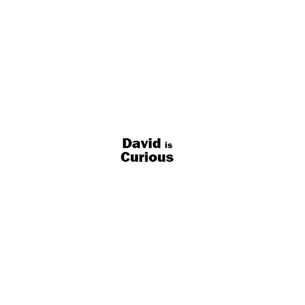 Artwork for David is Curious