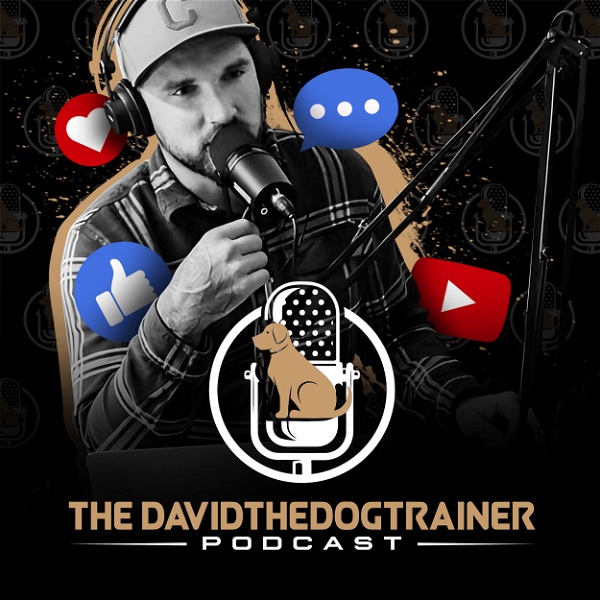 Artwork for The Davidthedogtrainer Podcast