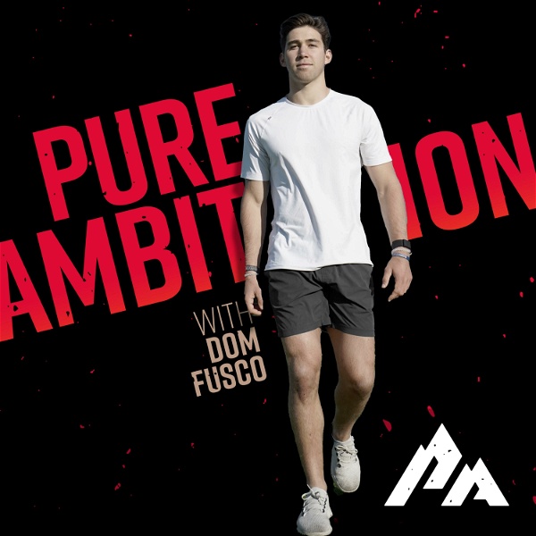 Artwork for Pure Ambition
