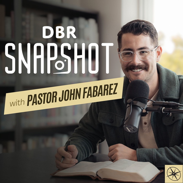 Artwork for DBR Snapshot