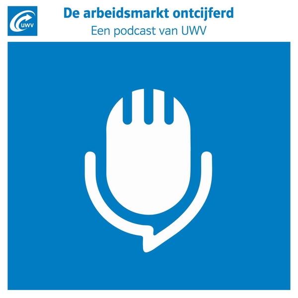 Artwork for De arbeidsmarkt ontcijferd