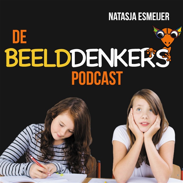 Artwork for De Beelddenkers Podcast