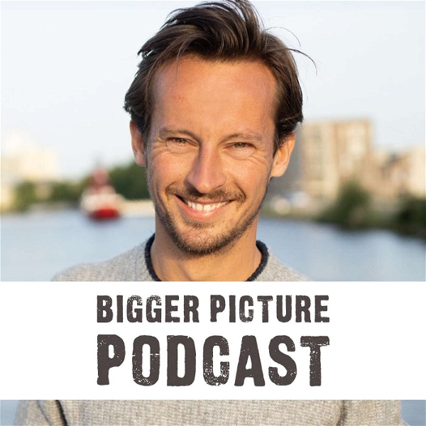 Artwork for De Bigger Picture Podcast