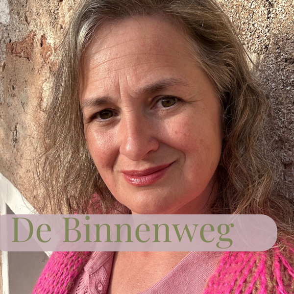 Artwork for De Binnenweg