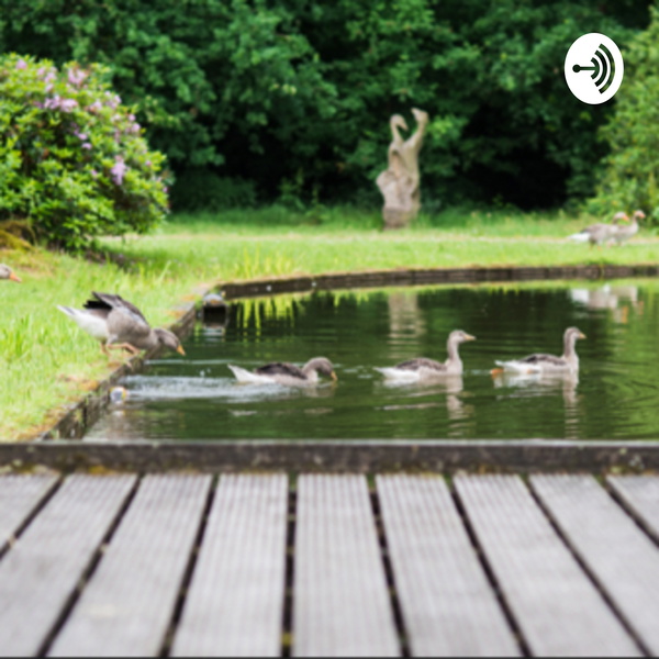 Artwork for De Bloeiberg Podcasts met Maartje Bergers