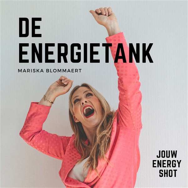 Artwork for De Energietank