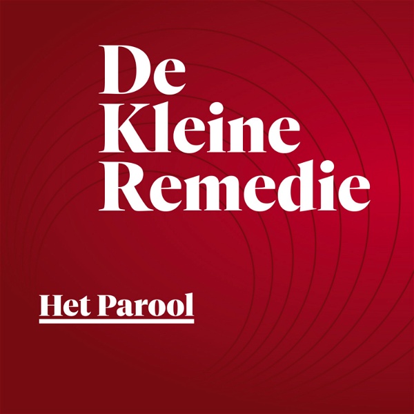 Artwork for De Kleine Remedie Podcast