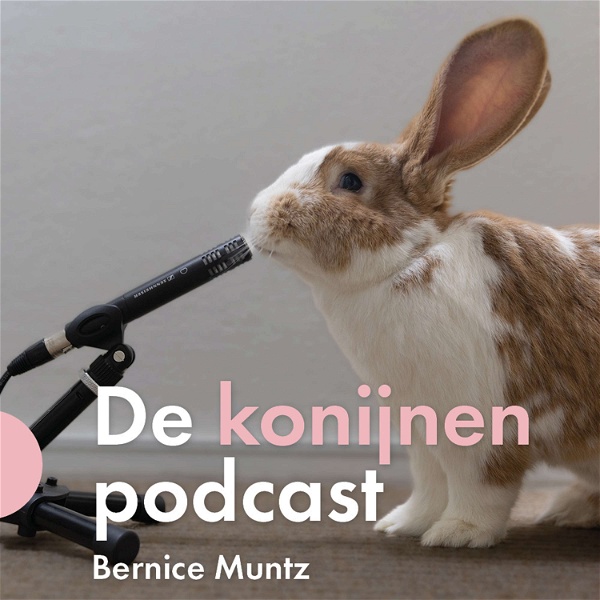 Artwork for De konijnenpodcast