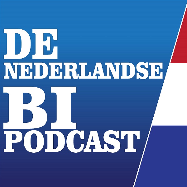 Artwork for De Nederlandse BI Podcast