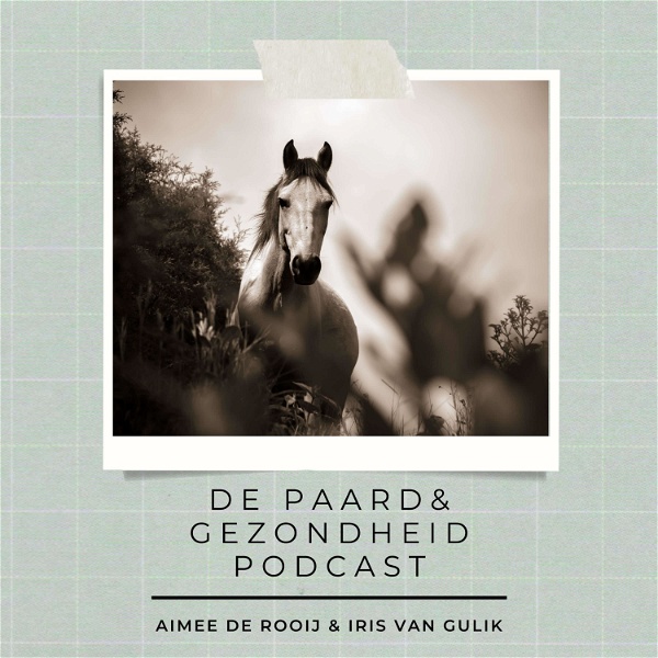 Artwork for De Paard & Gezondheid podcast