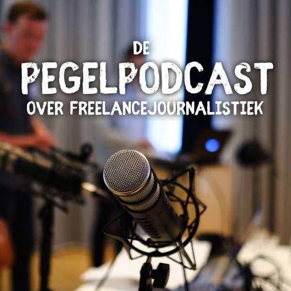 Artwork for De Pegelpodcast