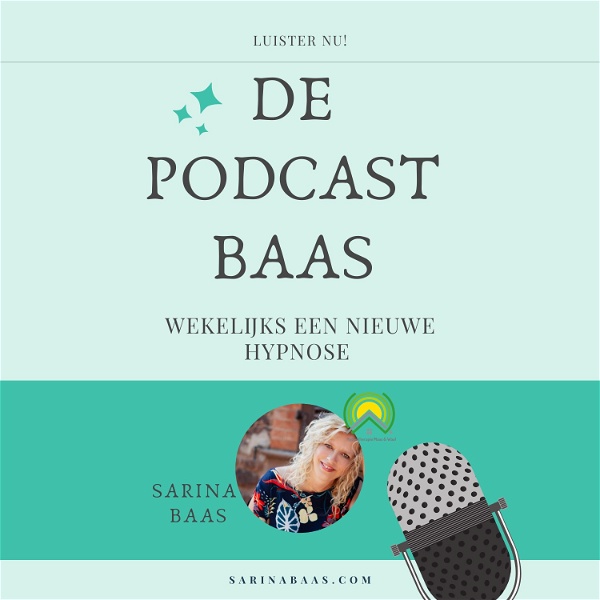 Artwork for de Podcast Baas