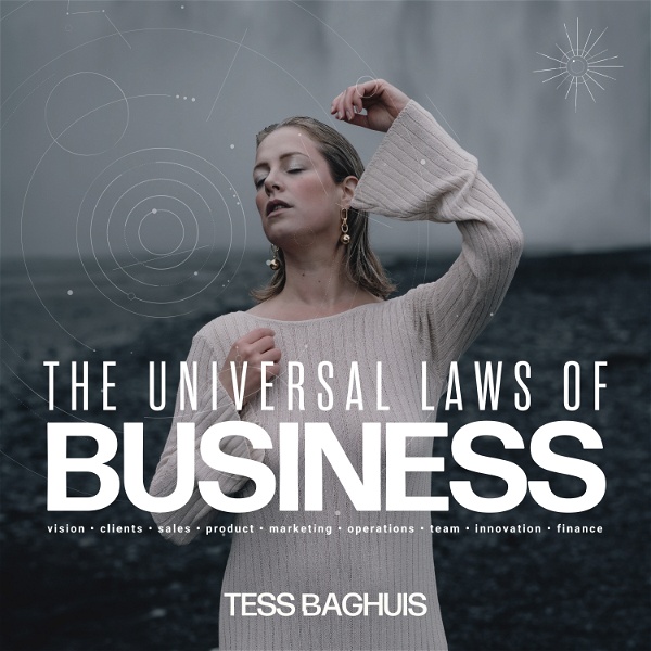 Artwork for The Universal Laws of Business