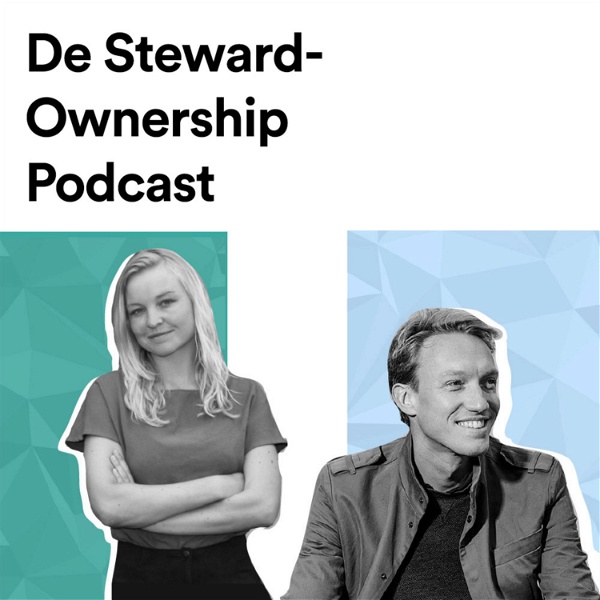 Artwork for De Steward-Ownership Podcast