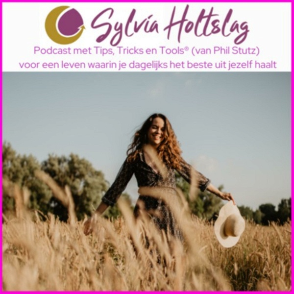 Artwork for De Sylvia Holtslag Tools® Podcast