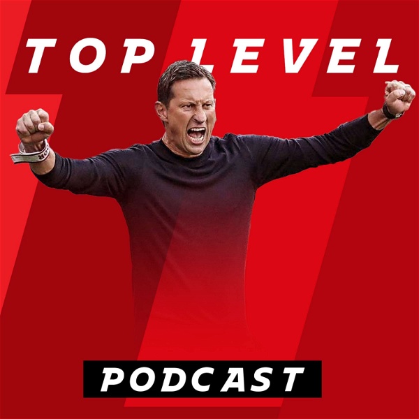 Artwork for De Top Level Podcast