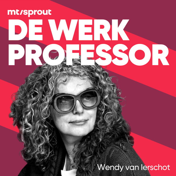 Artwork for De Werkprofessor