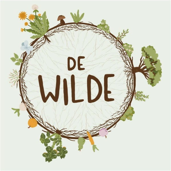 Artwork for de Wilde podcast