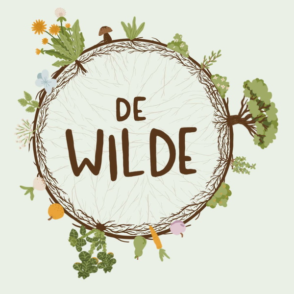 Artwork for de Wilde podcast