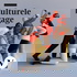 Culturele bagage