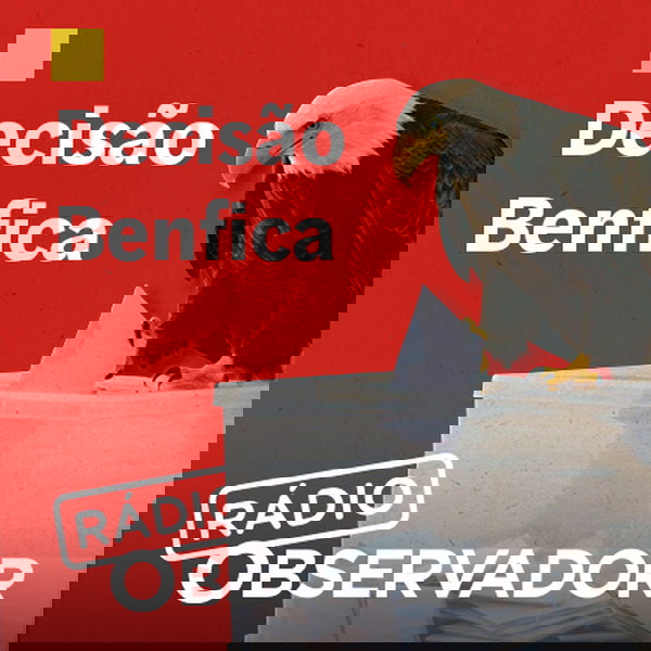 Artwork for Decisão Benfica