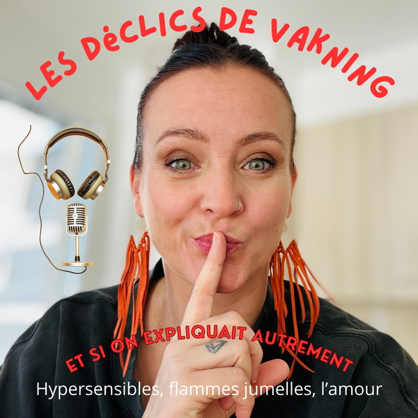 Artwork for LES DÉCLICS DE VAKNING