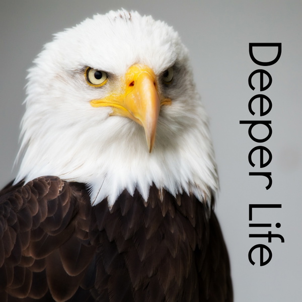 Artwork for Deeper Life