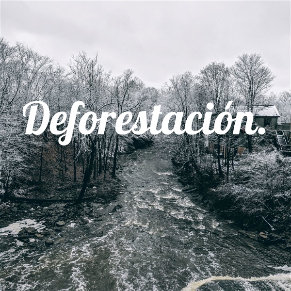 Artwork for Deforestación.