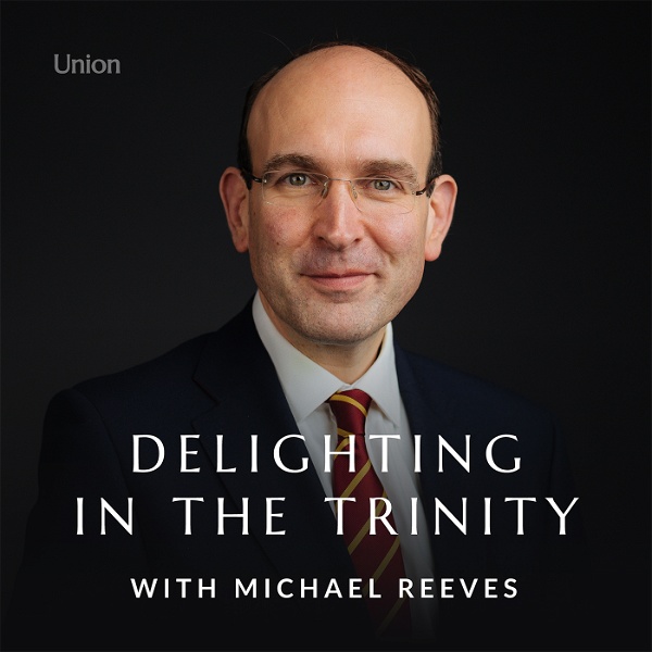 Artwork for Delighting in the Trinity