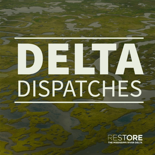Artwork for Delta Dispatches