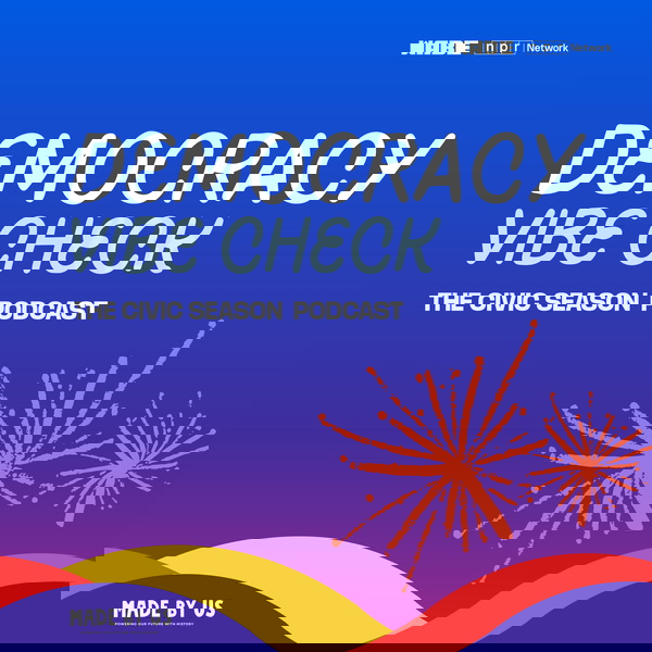 Artwork for Democracy Vibe Check