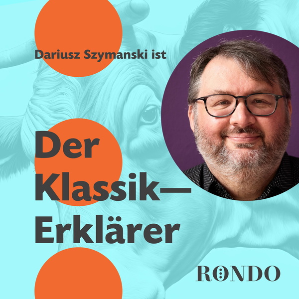 Artwork for Der Klassikerklärer