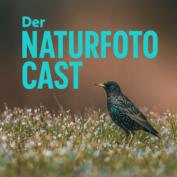 Artwork for Der Naturfotocast