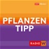 Radio Wien Pflanzentipp