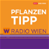 Radio Wien Pflanzentipp