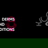 Derms and Conditions