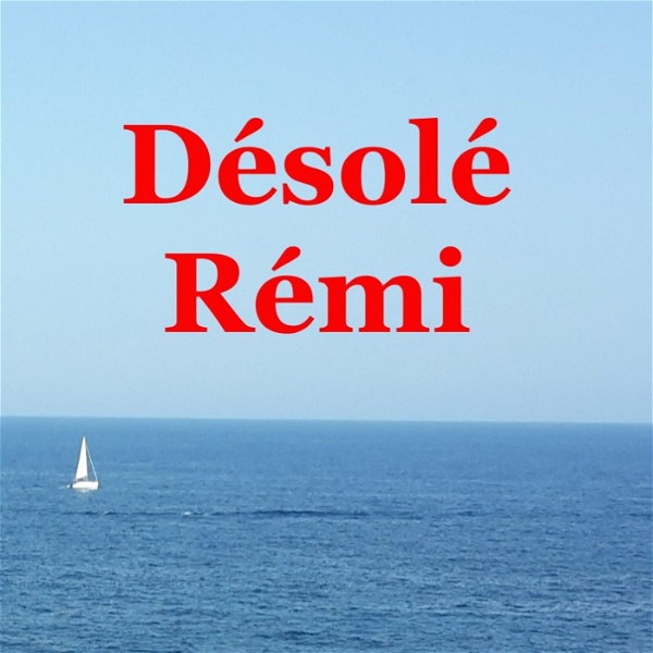 Artwork for Désolé Rémi