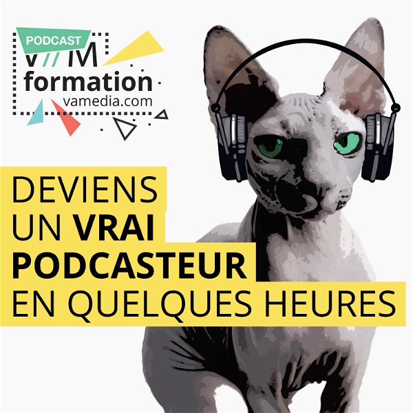Artwork for Formation: Deviens un vrai podcasteur