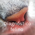 Diagnóstico felino