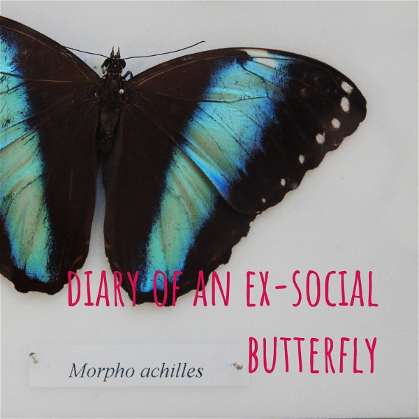 Artwork for diary of an ex-social butterfly