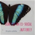 diary of an ex-social butterfly