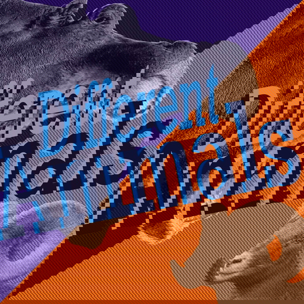 Artwork for Different Animals