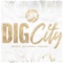 Dig City - Purdue Volleyball Podcast