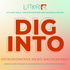 DIG INTO