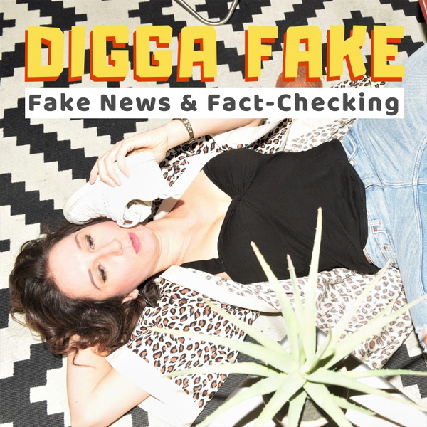 Artwork for Digga Fake