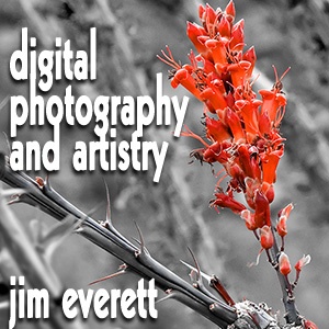 Artwork for Digital Photography and Artistry