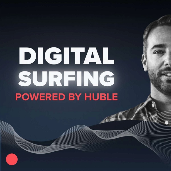 Artwork for Digital Surfing