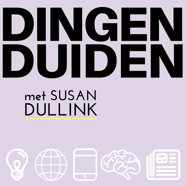 Artwork for Dingen Duiden