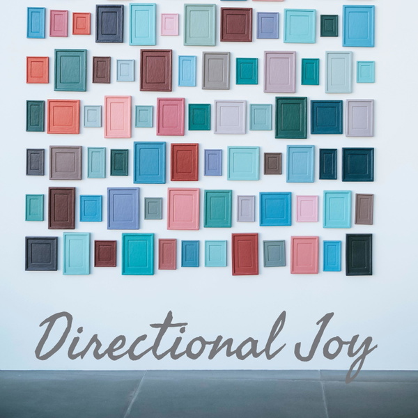 Artwork for Directional Joy